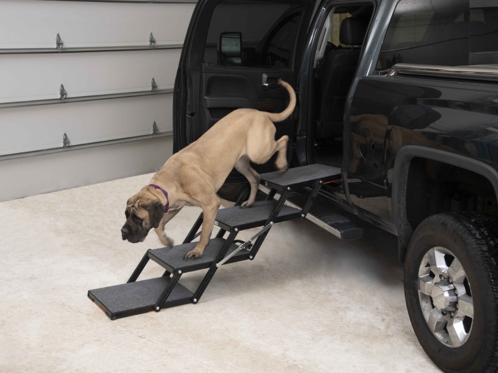 ladder for dog to get in car