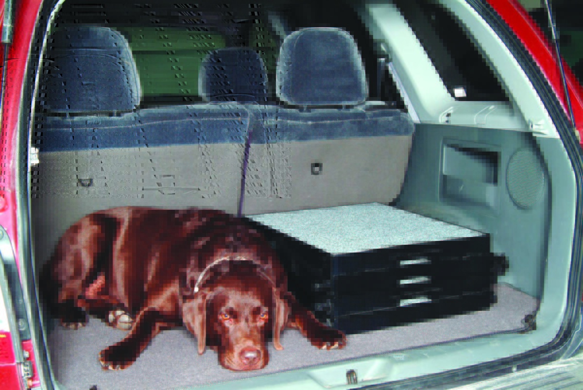 The Use of Dog Steps for Trucks and SUVs Pet Loader