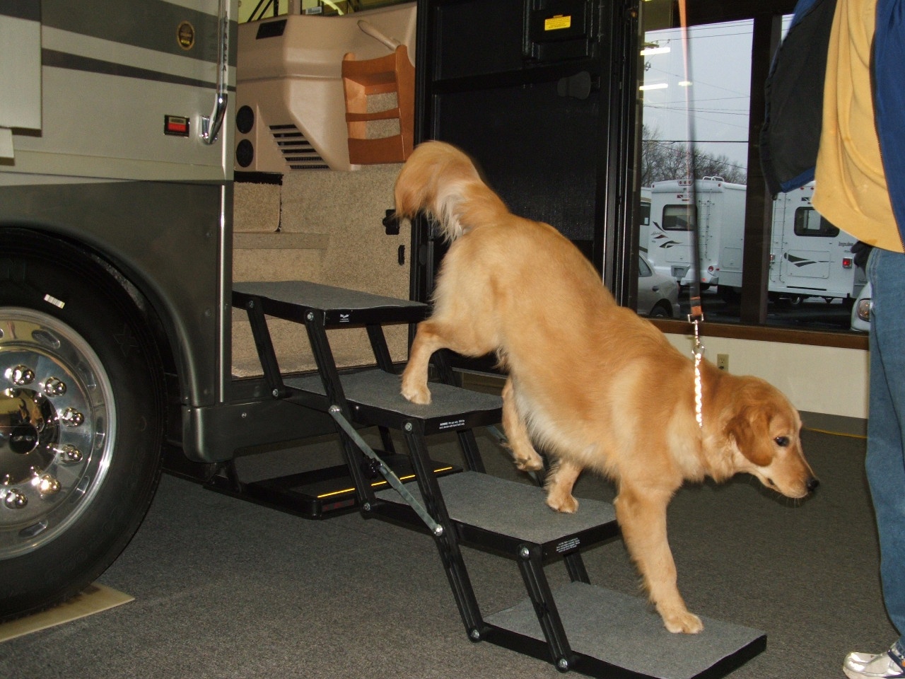 Pet Loader with RV