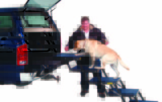 Works with all vehicles
