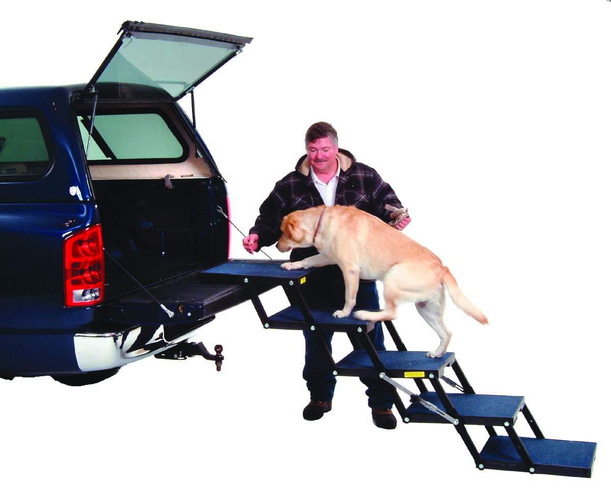 pet loader dog stairs