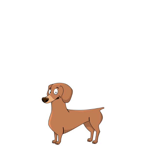 Chihuahua Chihuahua