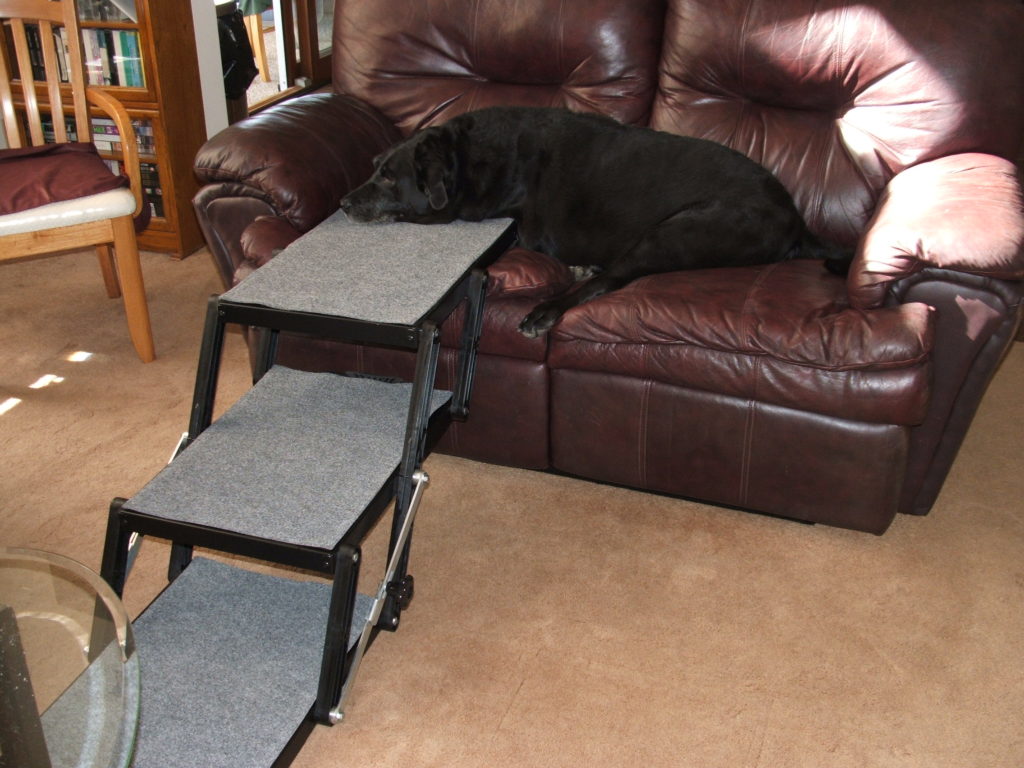 K.C._Chair_3 step_4 K.C. with Pet Loader Chair Access