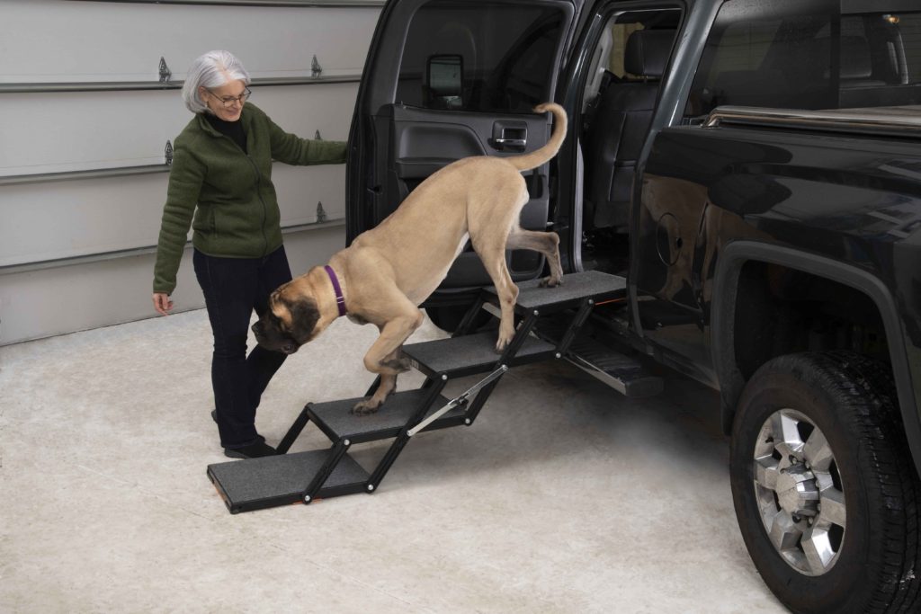 pet loader dog steps
