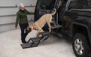 Pet Loader MAX with Mastiff