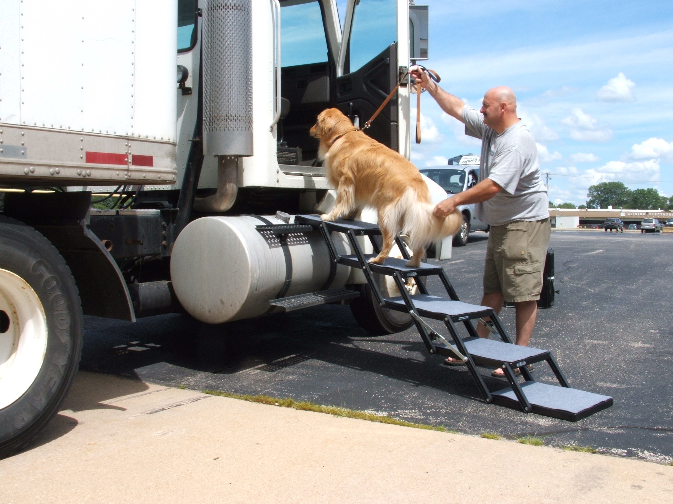 pet loader dog stairs