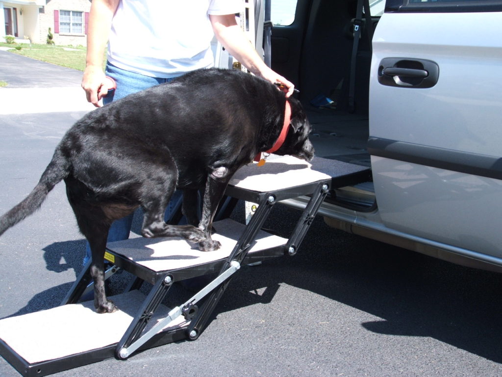 kc demo 015 K.C. Using Pet Loader to Enter Van